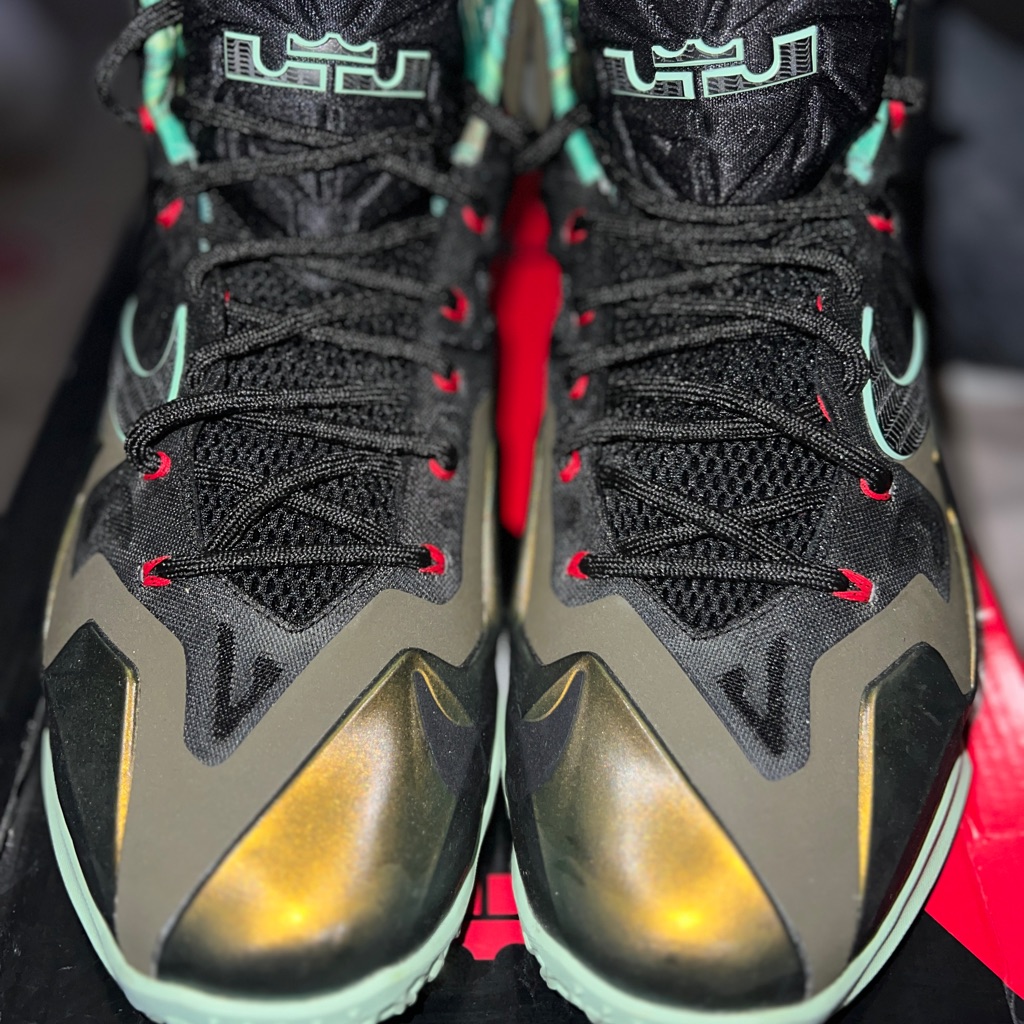 Lebron Xi